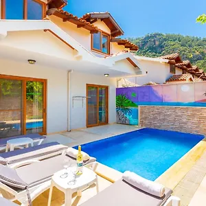  Villa Elmas Paradise Turkey