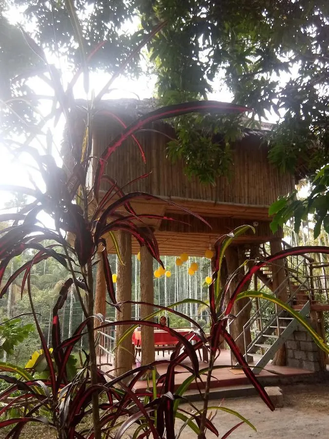 Kalidasa Tree House And Villa, Wayanad Chegat 0*,