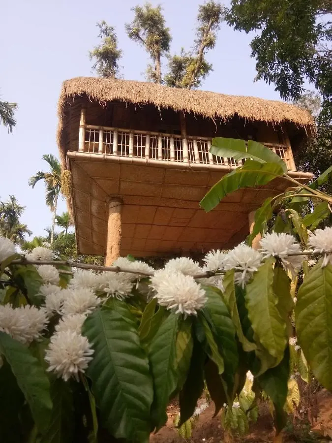 Kalidasa Tree House And Villa, Wayanad Chegat Villa