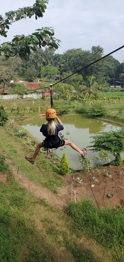 Kalidasa Tree House And Villa, Wayanad Chegat
