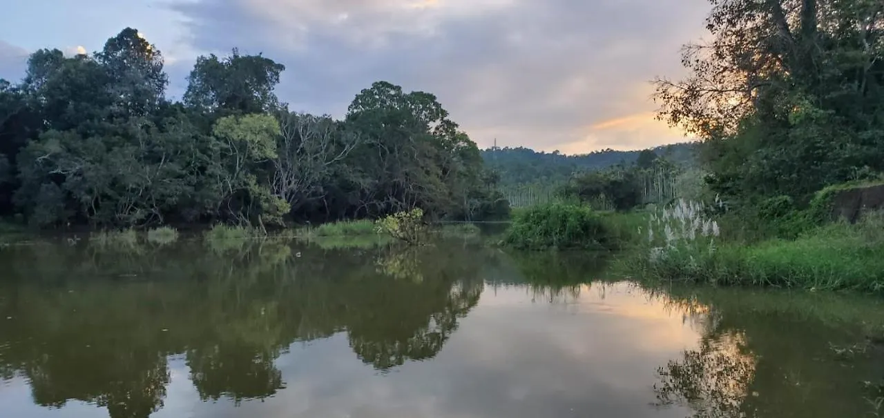 Kalidasa Tree House And Villa, Wayanad Chegat