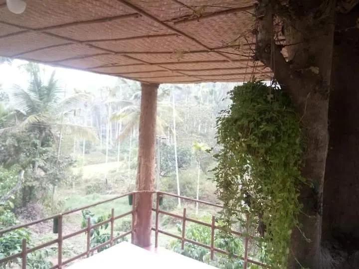 Kalidasa Tree House And Villa, Wayanad Chegat India