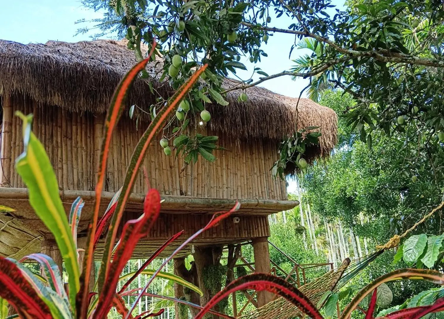 Kalidasa Tree House And Villa, Wayanad Chegat 0*,