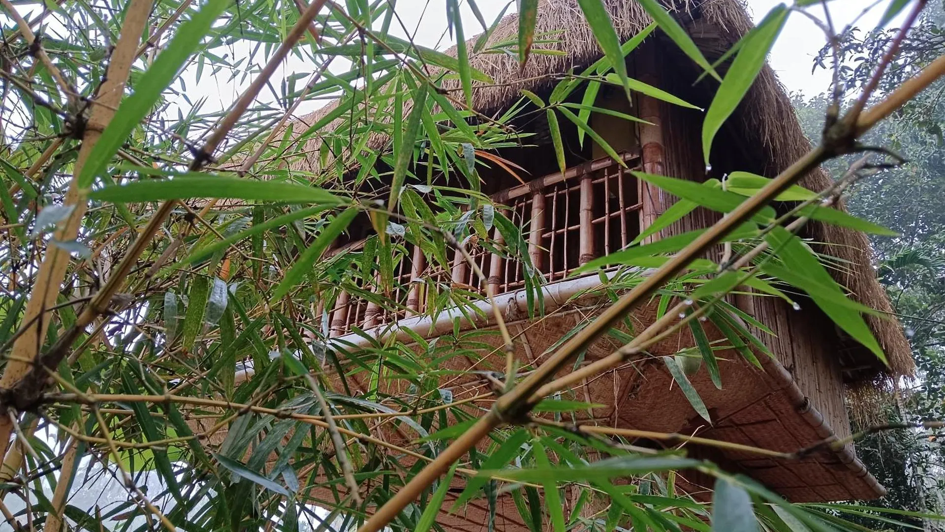 Villa Kalidasa Tree House And Villa, Wayanad Chegat India