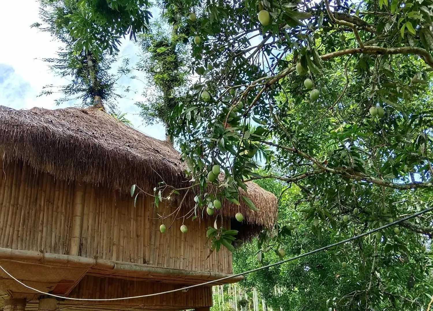 Kalidasa Tree House And Villa, Wayanad Chegat India