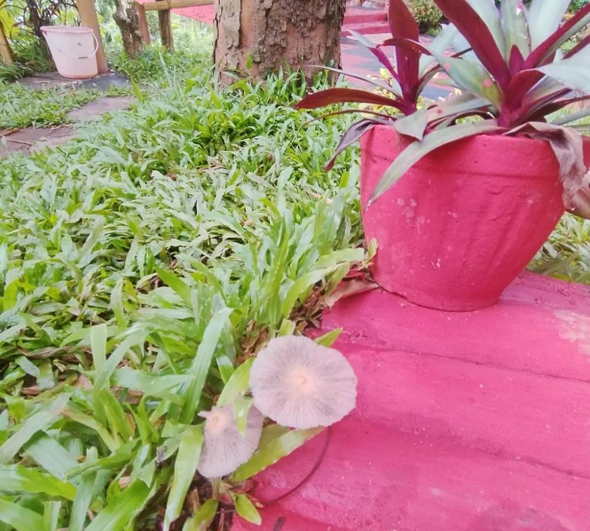 Kalidasa Tree House And Villa, Wayanad Chegat India