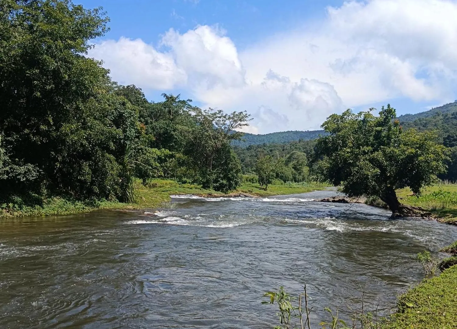 Kalidasa Tree House And Villa, Wayanad Chegat