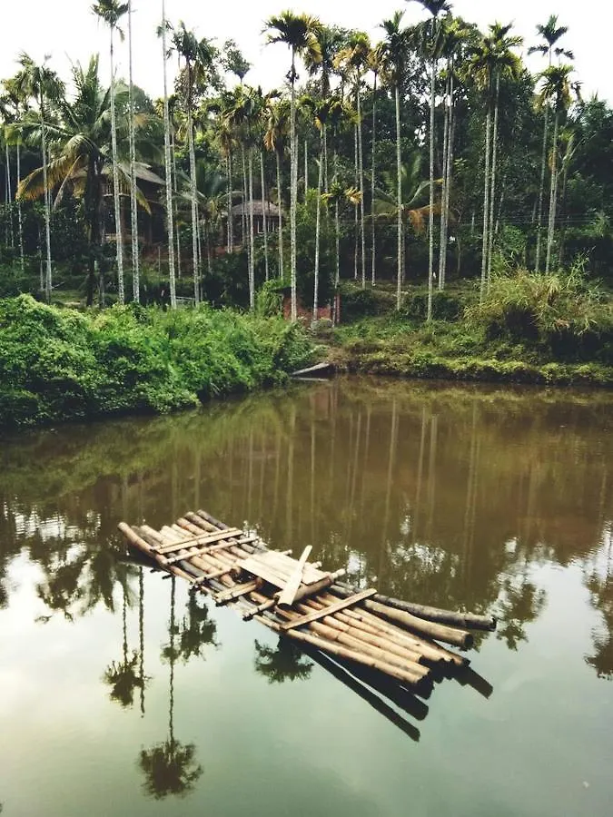 Kalidasa Tree House And Villa, Wayanad Chegat Villa
