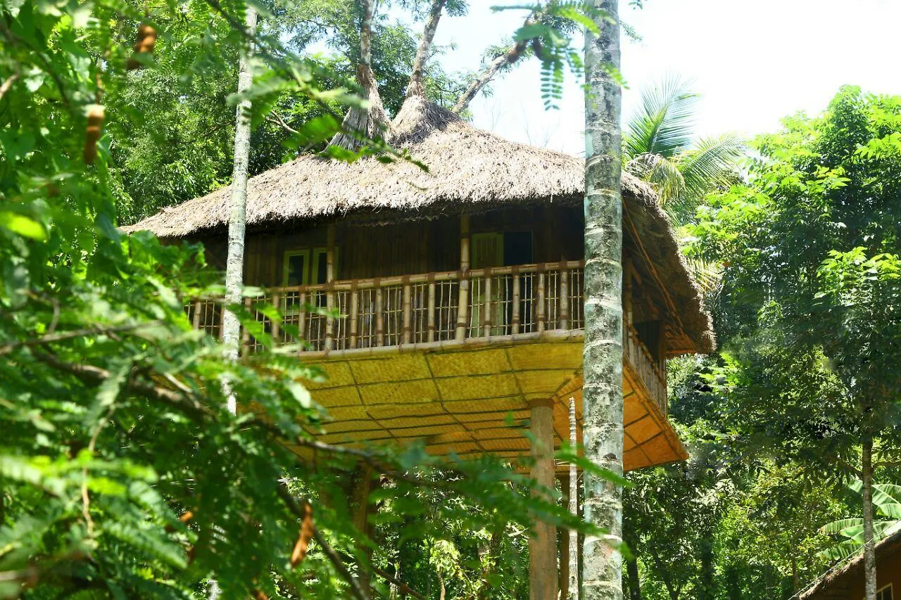 Kalidasa Tree House And Villa, Wayanad Chegat